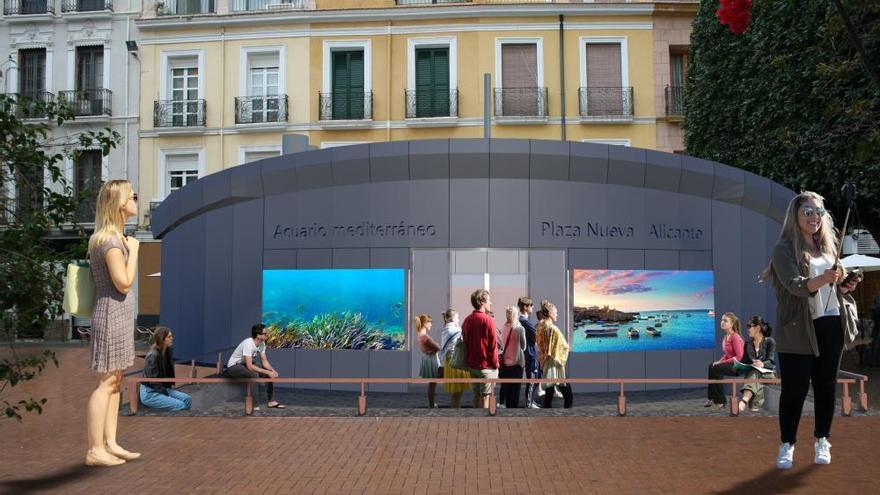 El acuario de la Plaza Nueva de Alicante será un espacio de educación ambiental y ludoteca pero sin peces