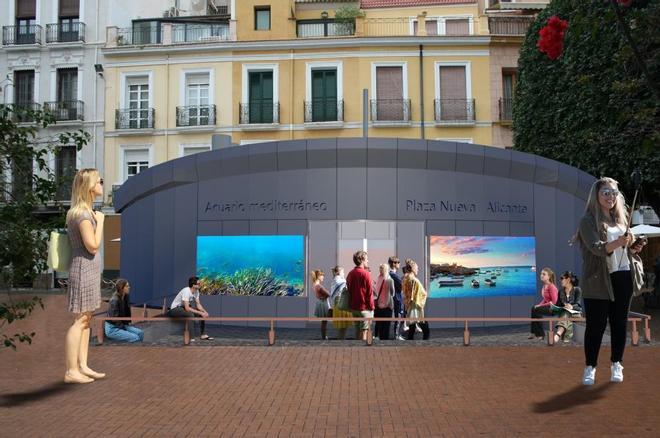 El acuario de la Plaza Nueva de Alicante será un espacio de educación ambiental y ludoteca pero sin peces