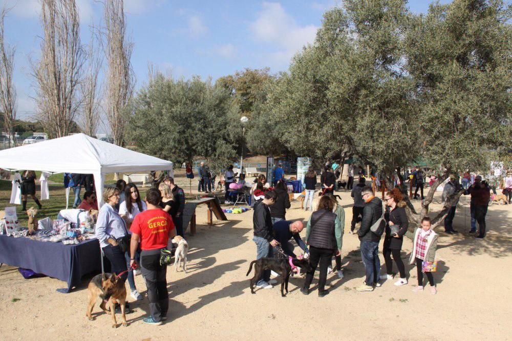 Festival de la Adopción de Perros de El Campello