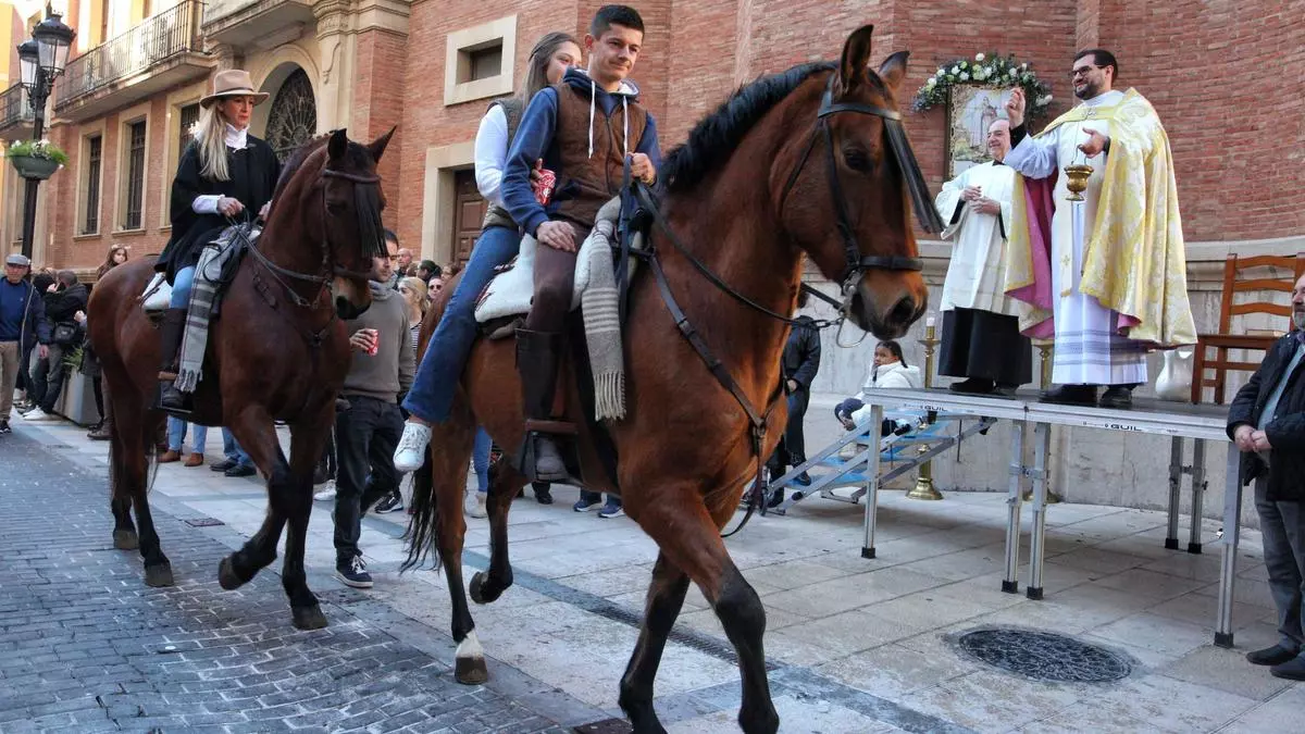 Fiesta de Sant Antoni en Castelló: Todos los barrios, fechas y detalles para el 2025