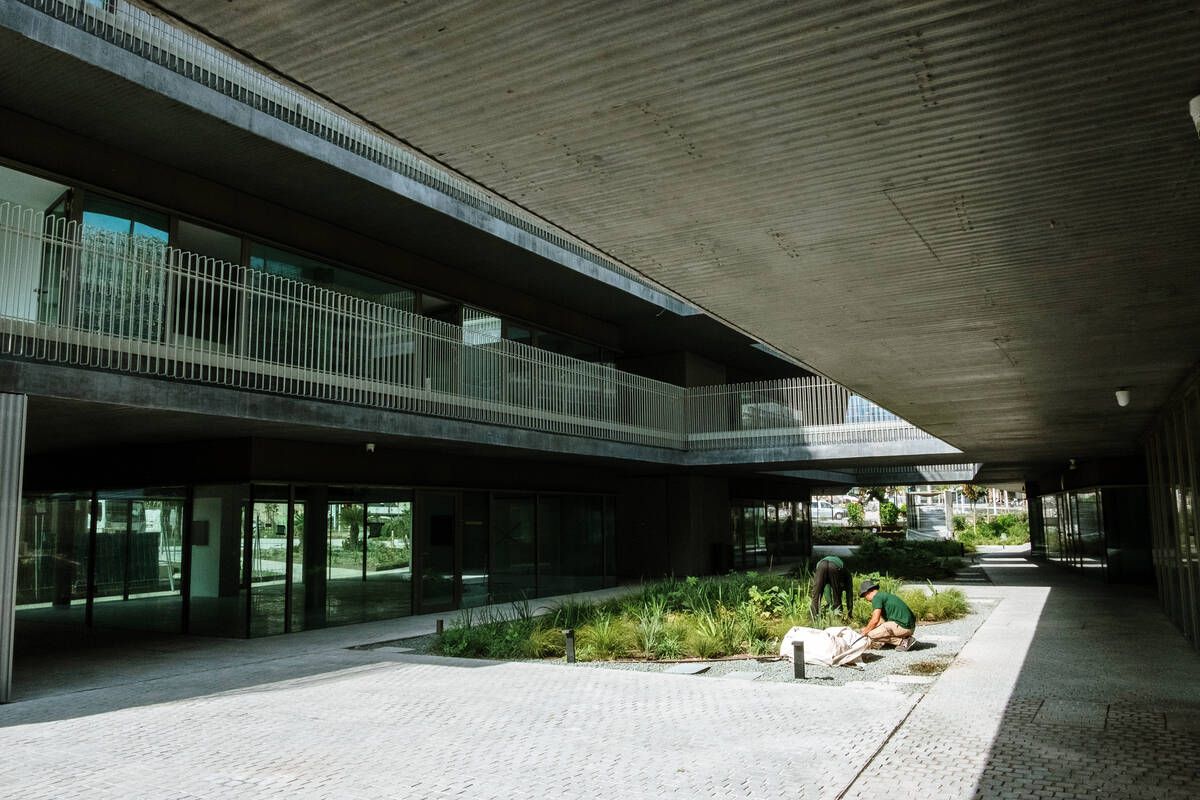 251010DMA_Bernardo A (225269586).jpg