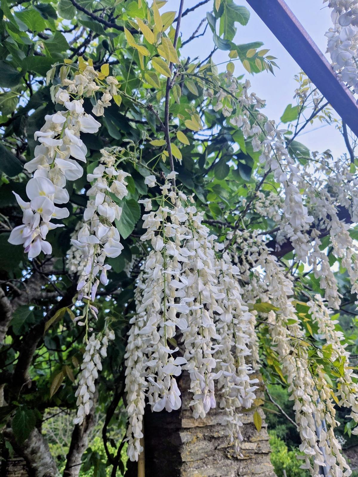 Mayo es primavera.