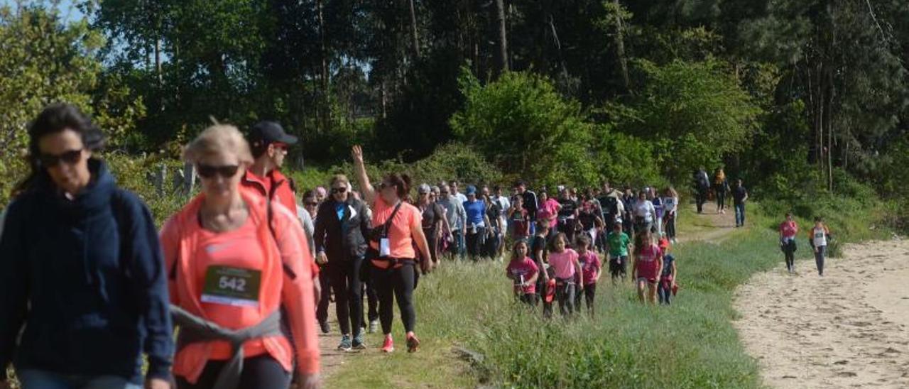 Una edición anterior de la “andaina” por la costa de Castrelo.  | // N.PARGA