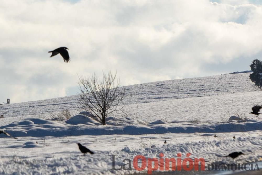 La nieve sigue siendo protagonista en el Noroeste