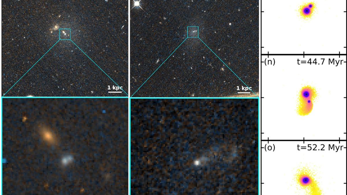 Las dos primeras columnas muestran imágenes de galaxias enanas obtenidas con el Telescopio Espacial Hubble. Tal y como se aprecia en la imagen aumentada (debajo), ambas contienen estructuras nucleares complejas, tal y como cúmulos dobles (primer caso) o colas de marea (segundo caso). La tercera columna corresponde a tres instantáneas extraídas de las simulaciones numéricas de formación de NSC. Nótese como en apenas quince millones de años el sistema pasa de presentar una apariencia doble, a estar totalmente fusionado y exhibir una cola de marea similar a la observada.