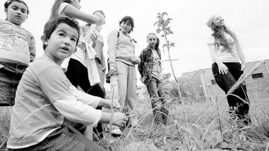 Taller de manualidades en el «bosque comestible»