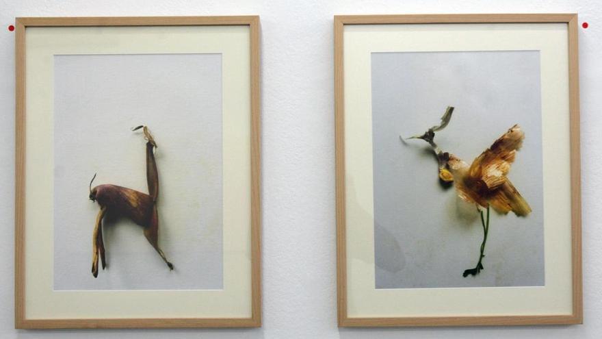 Esxposición de Din Matamoro, la galería Trinta. // Xoán Álvarez