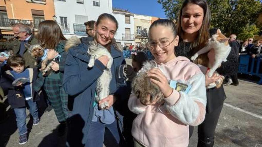 Porrat y multitudinaria bendición de animales para celebrar a Sant Antoni del Porquet