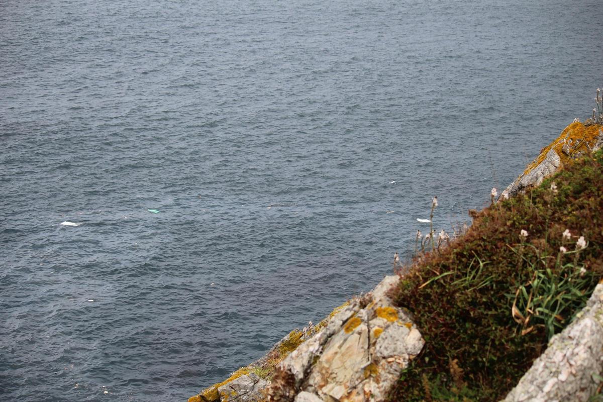 En imágenes: intenso operativo de búsqueda en la costa de El Franco para dar con un pescador francés