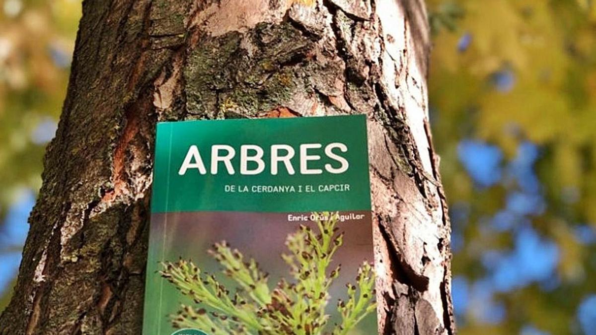 El llibre d’Enric Orús «Els arbres de la Cerdanya i el Capcir», que es presentarà dissabte | AJ LLÍVIA