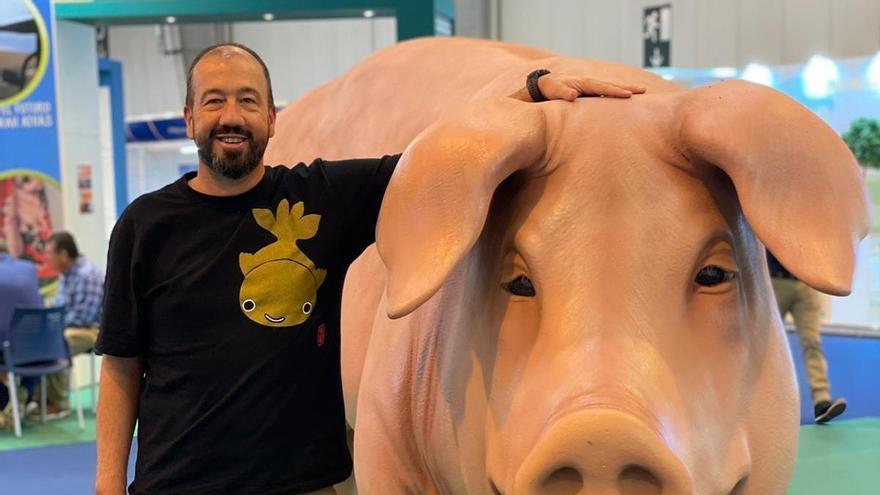 Conoce cómo es el cerdo ‘made in Castellón’