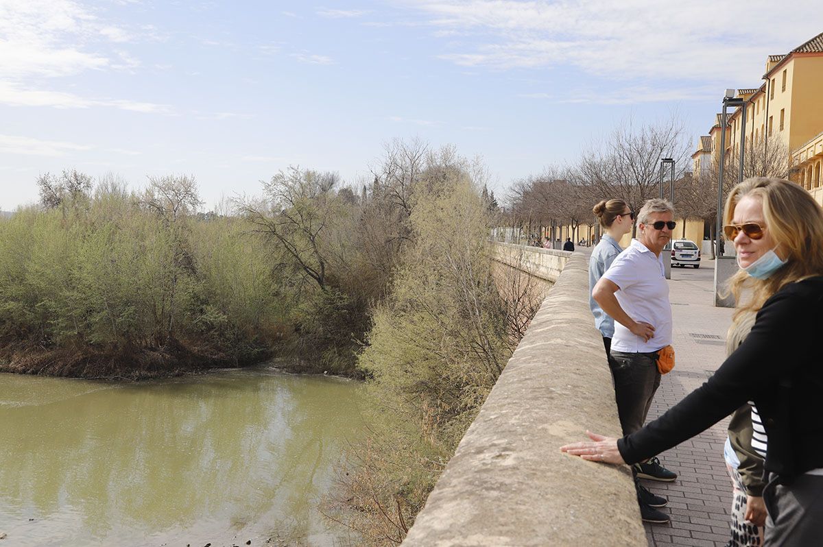 Los Sotos de la Albolafia de Córdoba