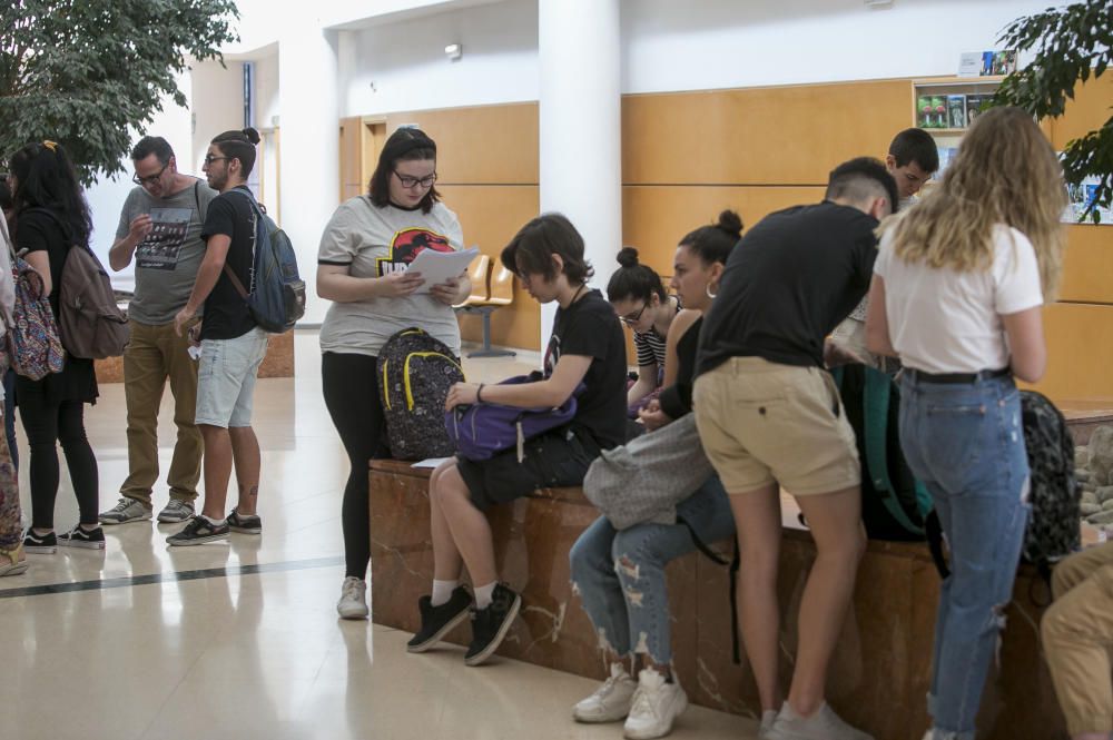 En la Universidad de Alicante se han examinado 3.494 estudiantes