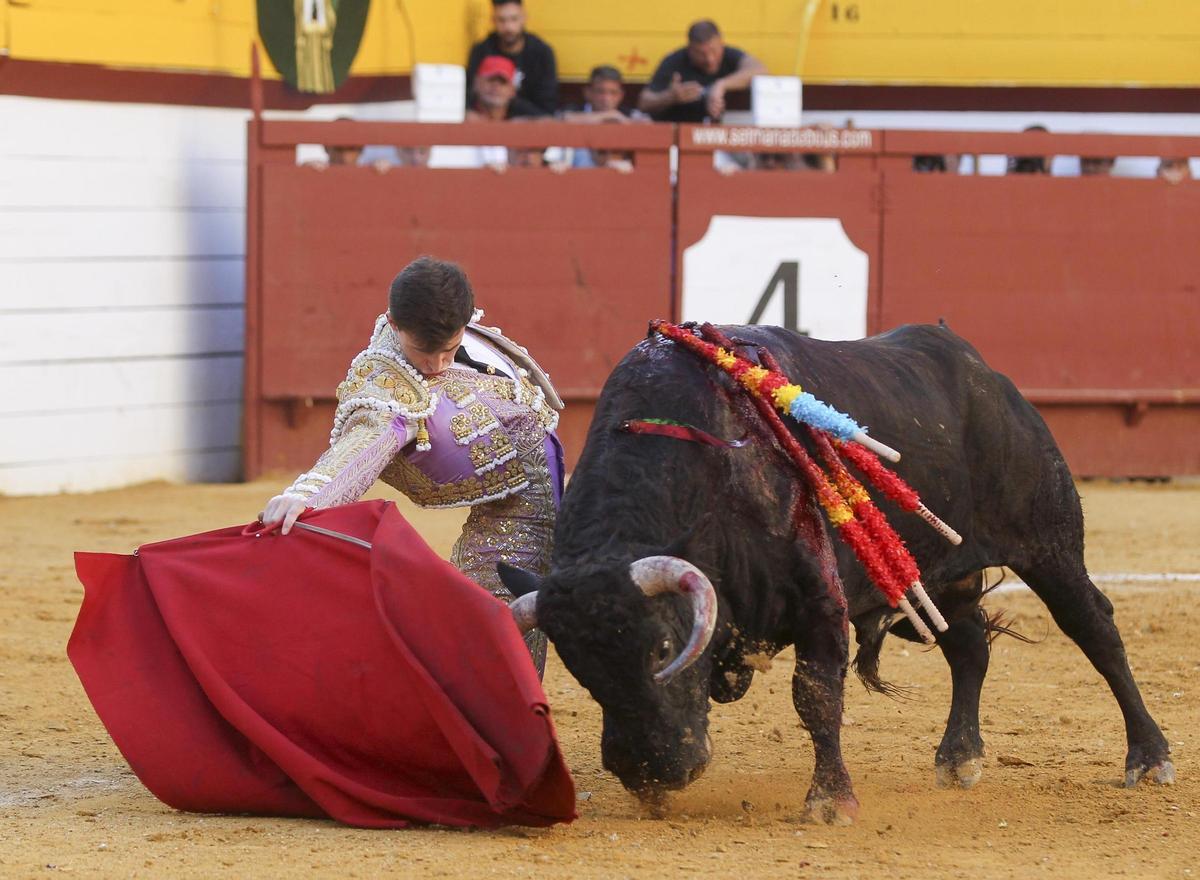 Sergio Rodríguez toreó de hinojos en el segundo novillo de la tarde.