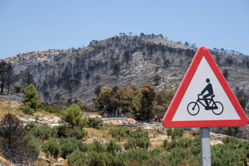 Así ha quedado la zona tras el incendio.