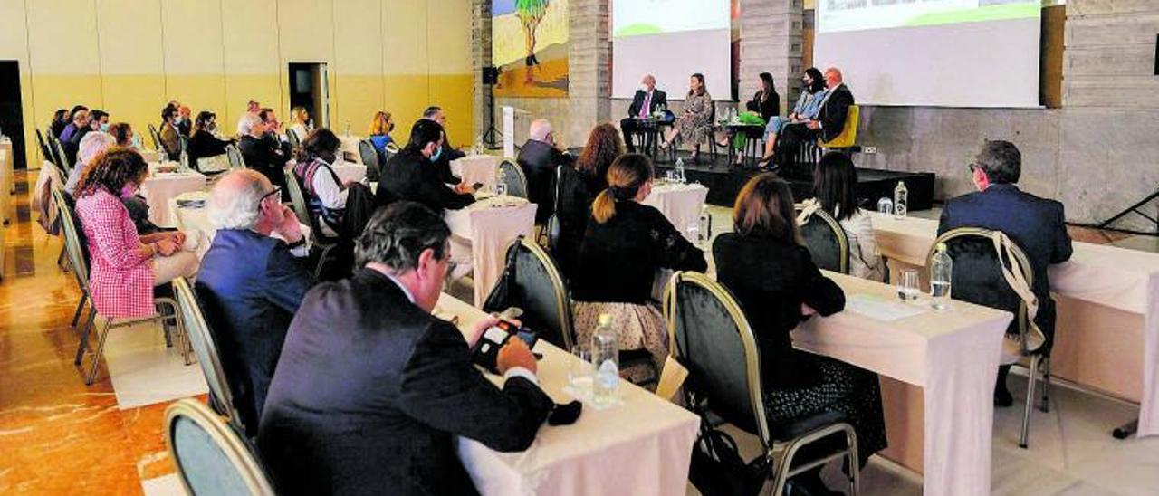 Aspecto de la reunión plenaria de la Mesa del Tabaco celebrada ayer en la capital grancanaria. | | JOSÉ CARLOS GUERRA