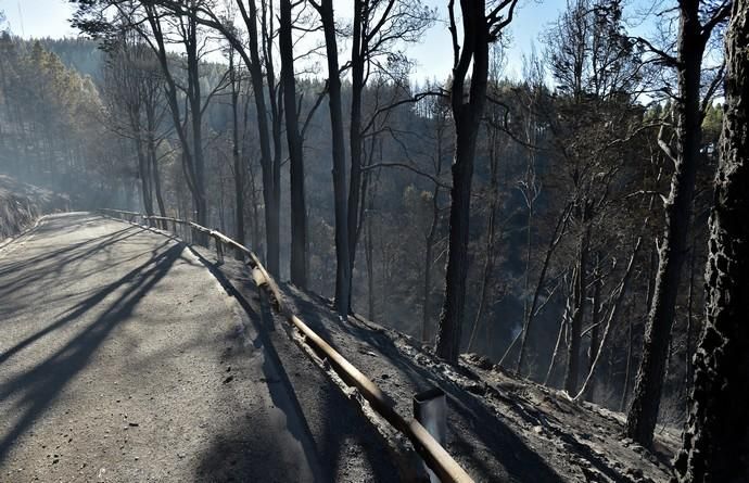 20-08-2019 VALLESECO. Zonas quemadas por el incendio, en el Cruce de Arinez. Fotógrafo: ANDRES CRUZ  | 20/08/2019 | Fotógrafo: Andrés Cruz