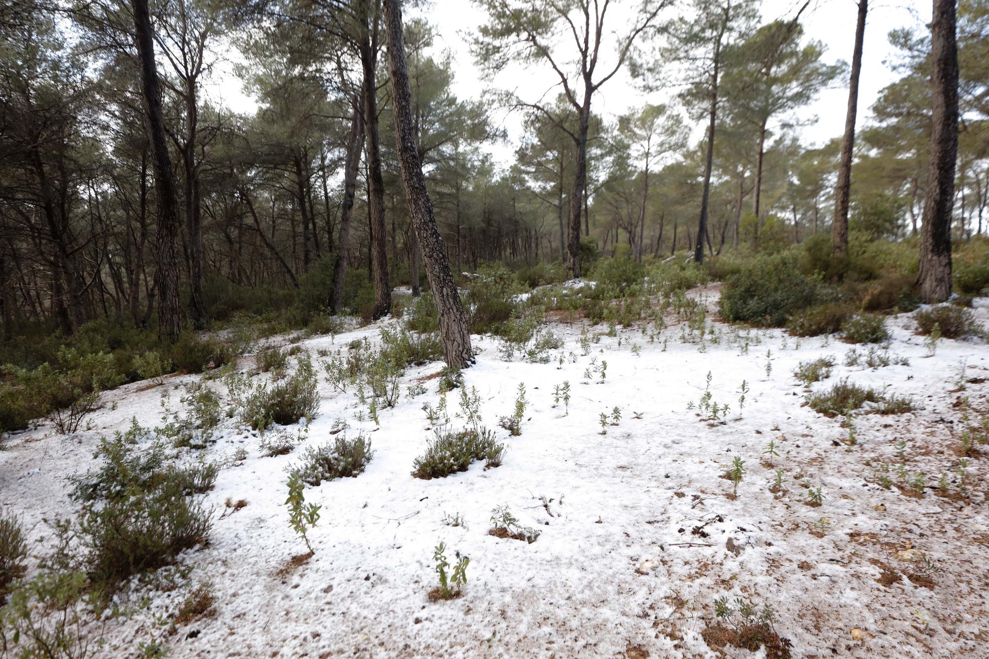 Bajada de temperaturas en Ibiza: Una manta de granizo cubre varias zonas de la isla