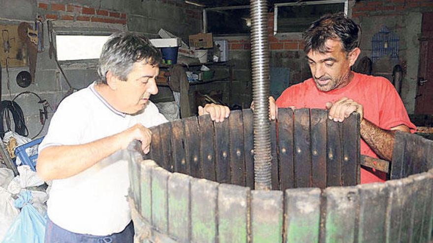 Las manzanas usadas para la bebida son de cosecha propia.  // Noé P.