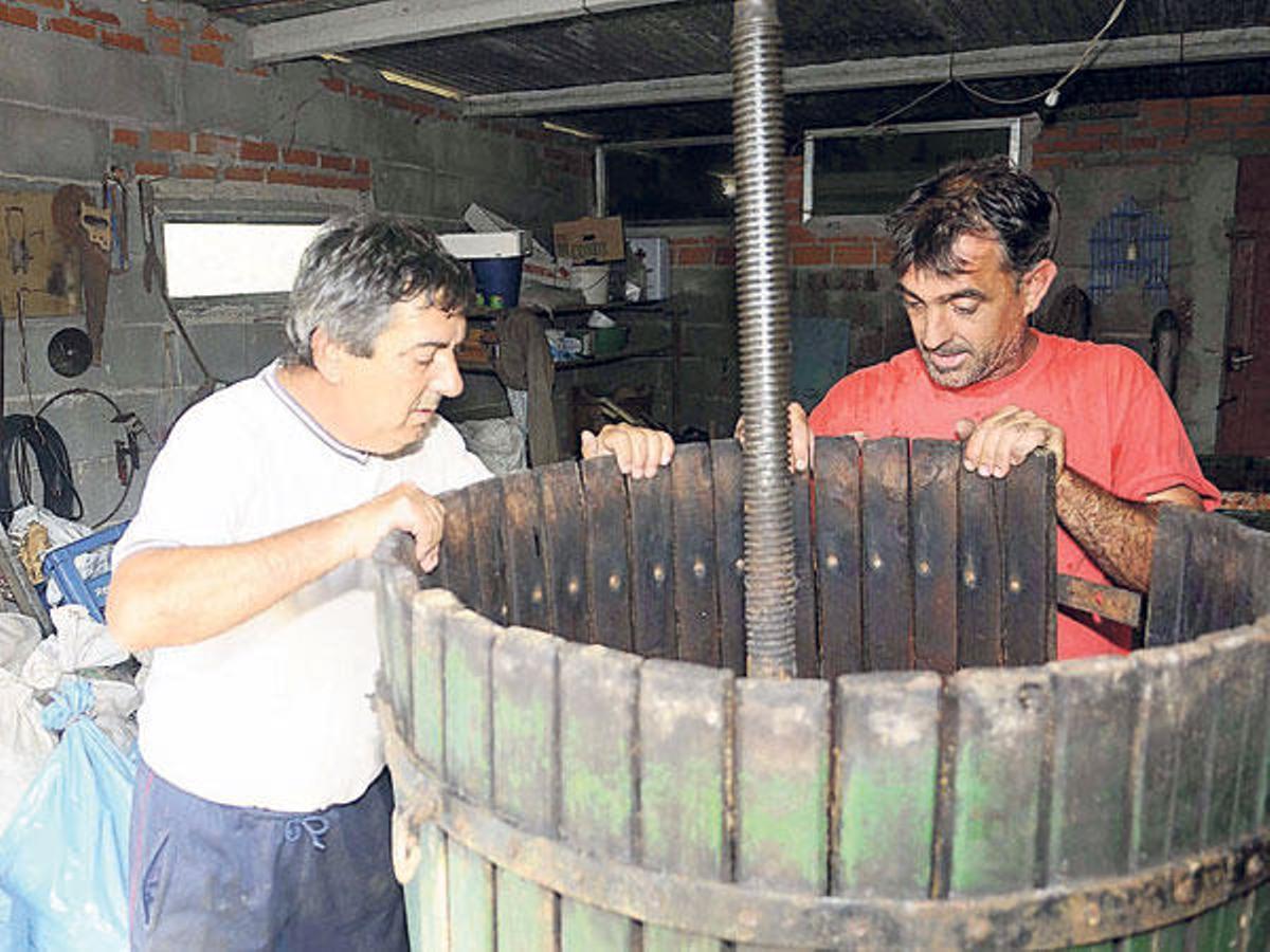 Las manzanas usadas para la bebida son de cosecha propia.  // Noé P.