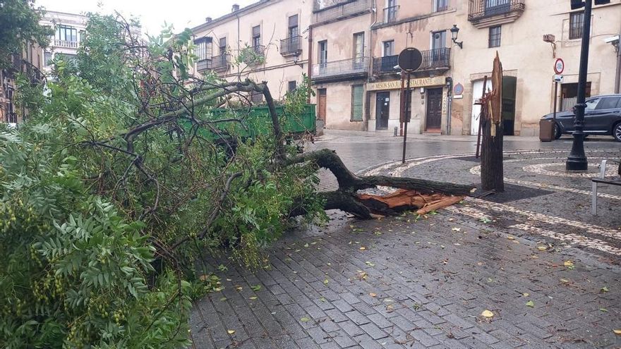 Fotogalería | Así afecta el temporal de lluvia y viento en Cáceres