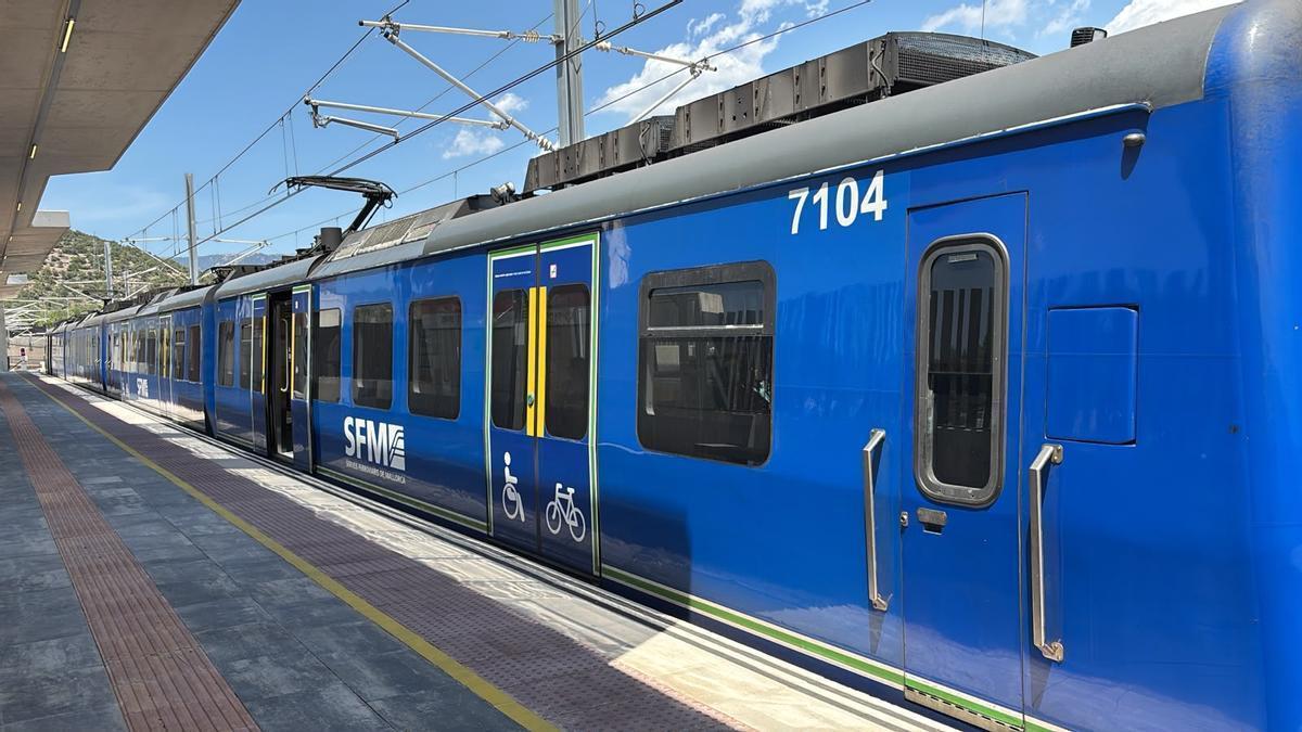 Un tren de SFM parado durante la avería