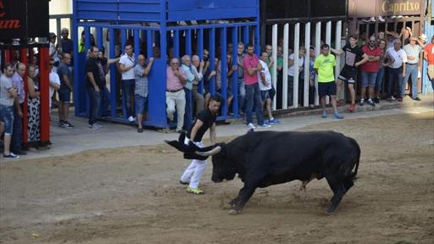 El toro cornea a una joven de Nules en Moncofa