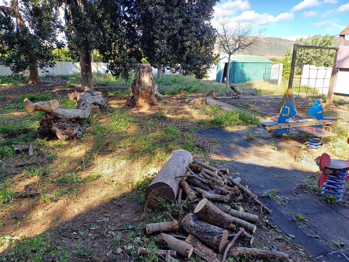 Efectos de las fuertes rachas de viento en El Camp de Morvedre
