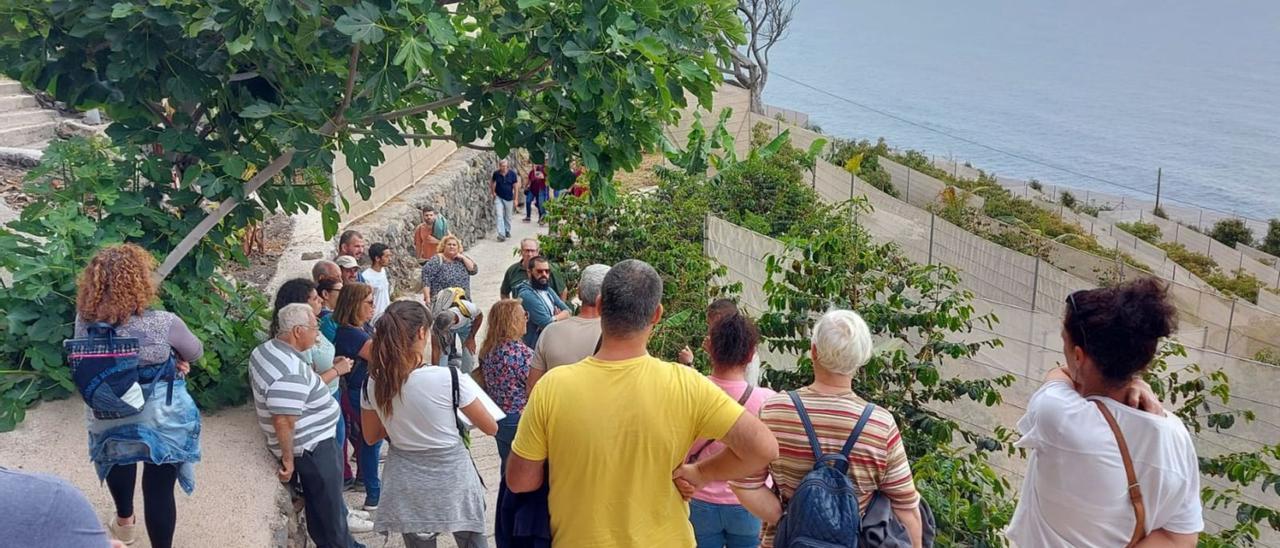 La implantación del café fue realidad hace más de dos siglos gracias al Jardín Botánico de Puerto de la Cruz y, en las últimas dos décadas, esta producción la ha impulsado Agaete (Gran Canaria), donde se inspira Anaga.