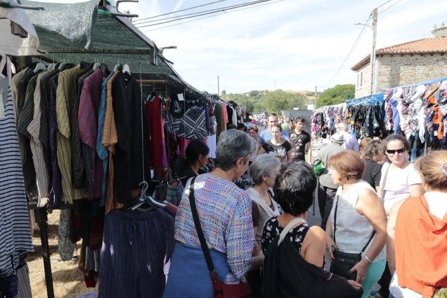 Fiesta de la Trashumancia en San Vitero