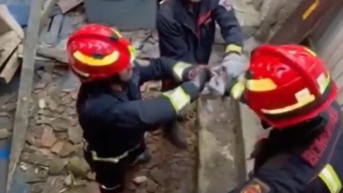 En perfecto estado: así fue el rescate de un gato en Cabanillas de la Sierra tras caer en una tinaja.