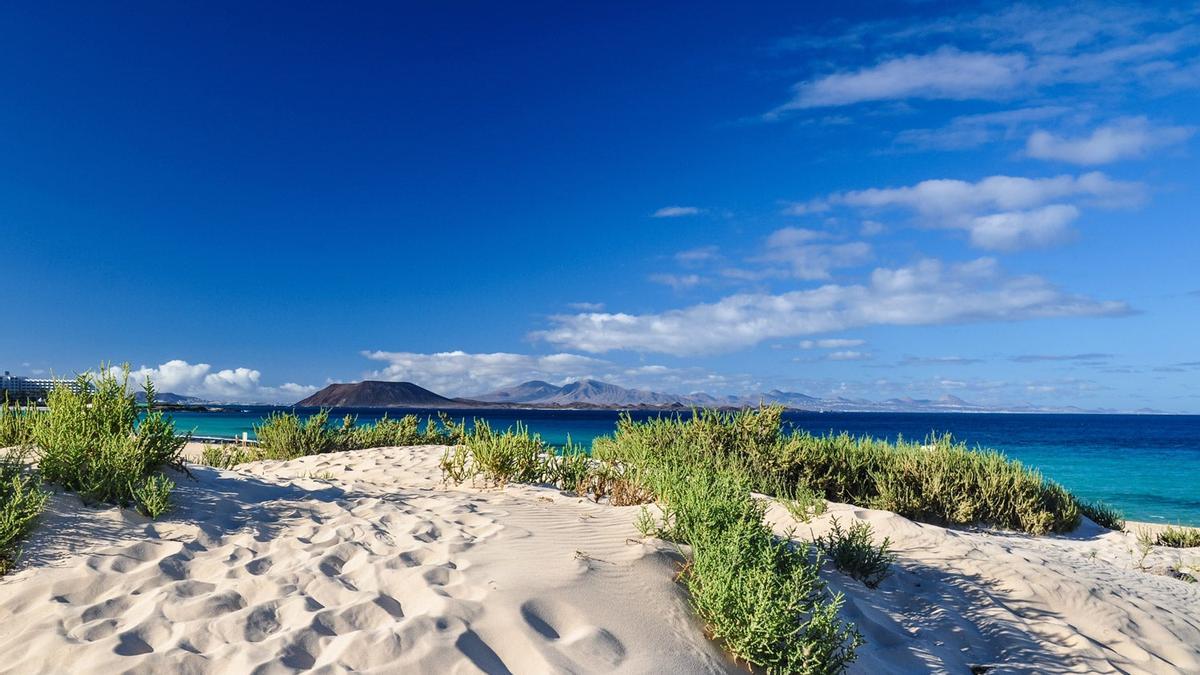 Vacaciones en la playa