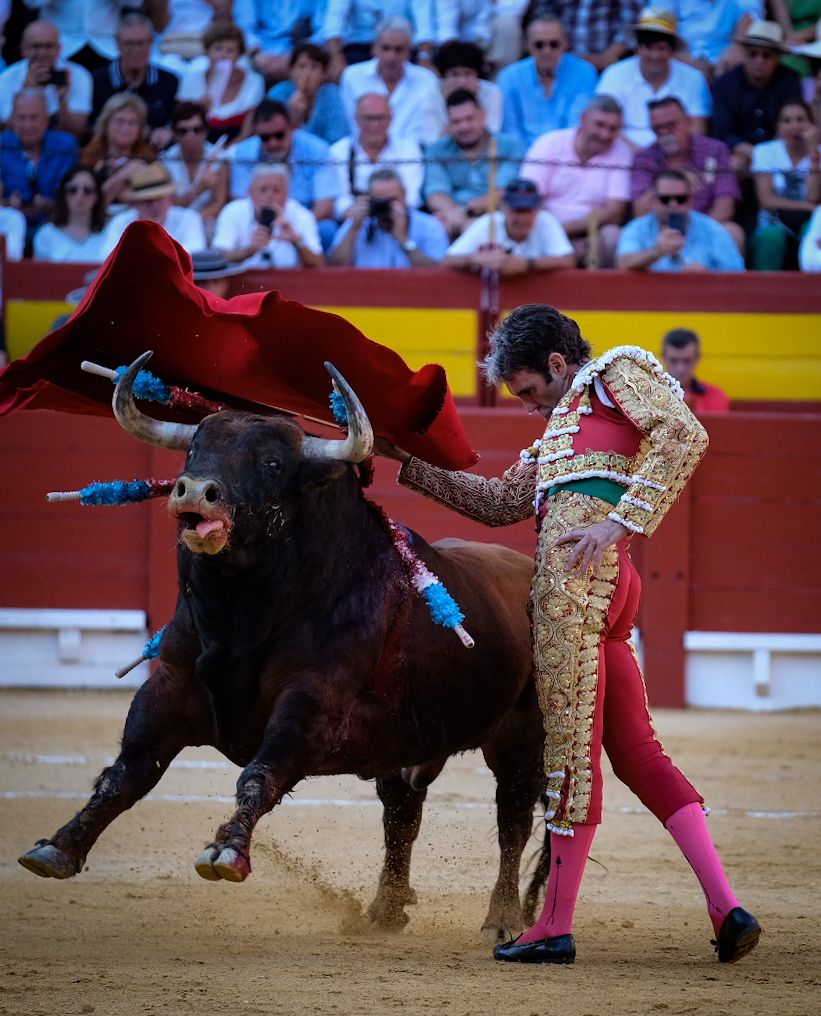 La tauromaquia de José Tomás en Alicante, en imágenes