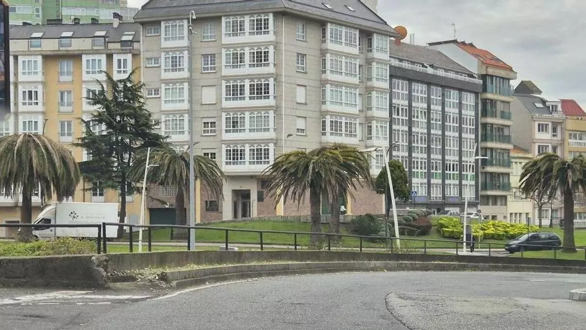 El Concello de A Coruña sustituirá ocho palmeras muertas por el picudo con magnolias