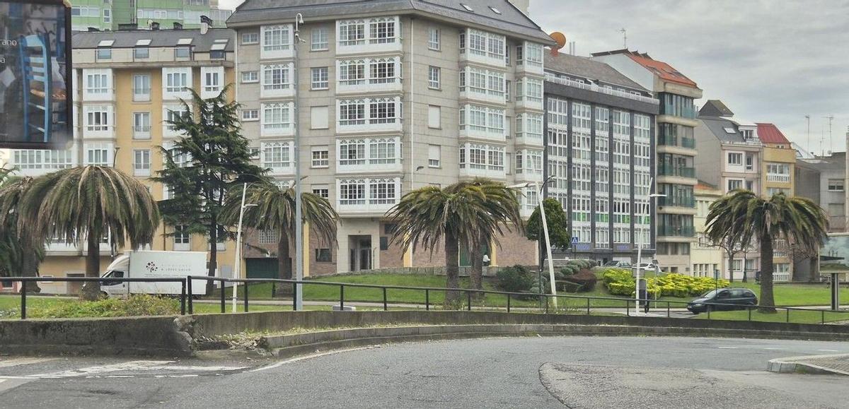 Palmeras afectadas por el picudo en Santa Lucía