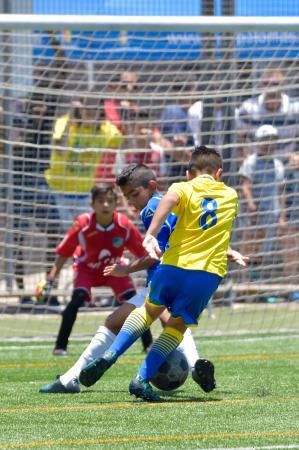 17-06-2018 SAN BARTOLOMÉ DE TIRAJANA. Finales de las Copas de Campeones prebenjamines y benjamines. Fotógrafo: ANDRES CRUZ  | 17/06/2018 | Fotógrafo: Andrés Cruz