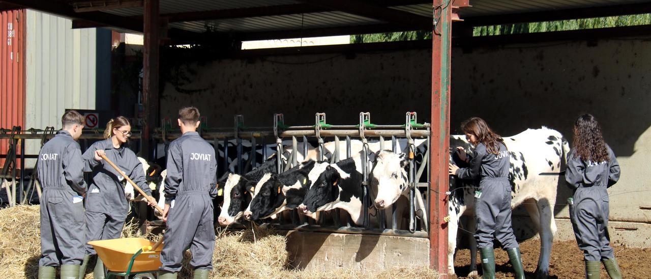 La Torre d'en Roca promou l'elaboració de làctics amb beta-caseïna A2