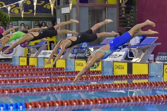 Campeonato de España de natación. Mireia ...