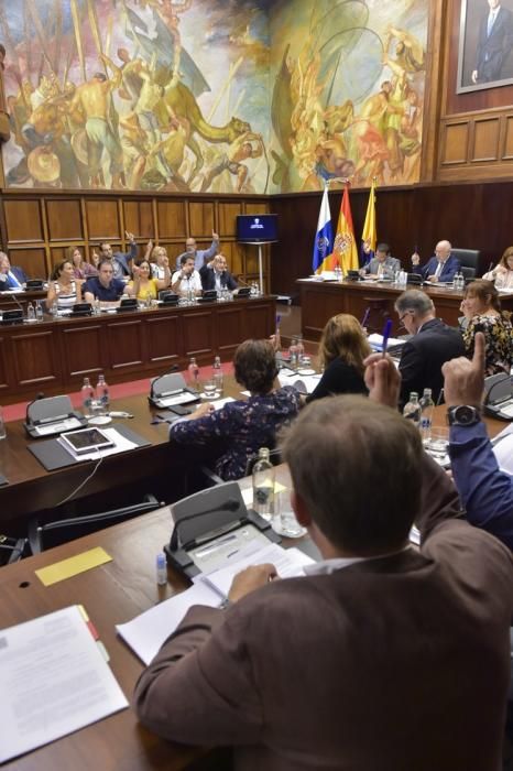 Pleno extraordinario del Cabildo de Gran Canaria