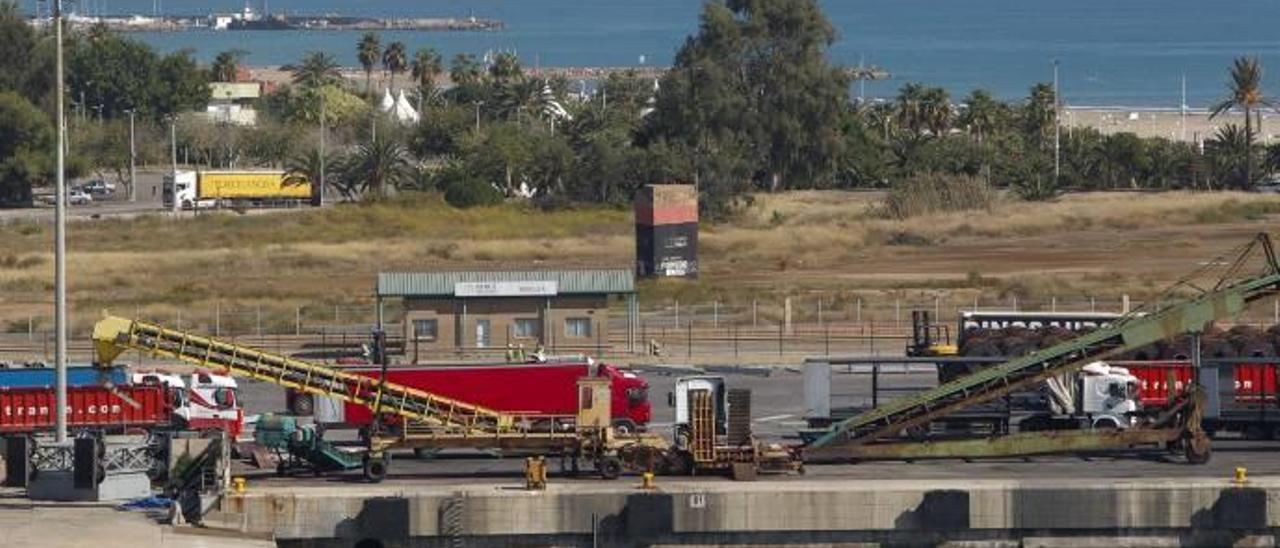 Una vista de la zona portuaria y el Malecón de Menera.