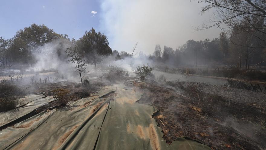 Todas las imágenes del incendio forestal en Riba-Roja