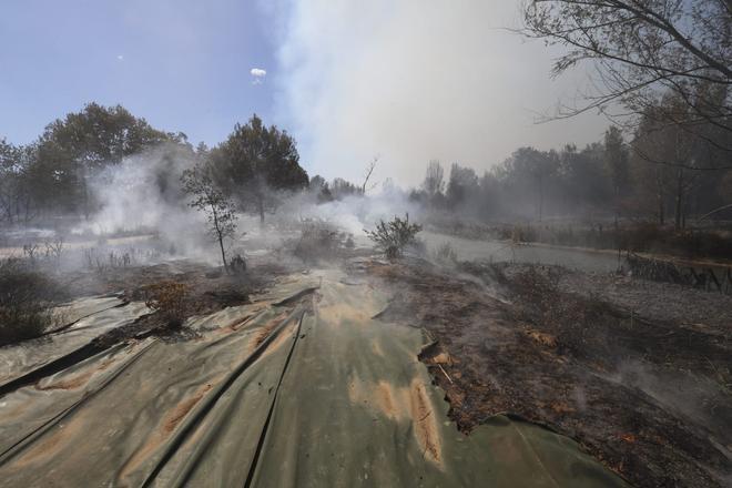 Todas las imágenes del incendio forestal en Riba-Roja