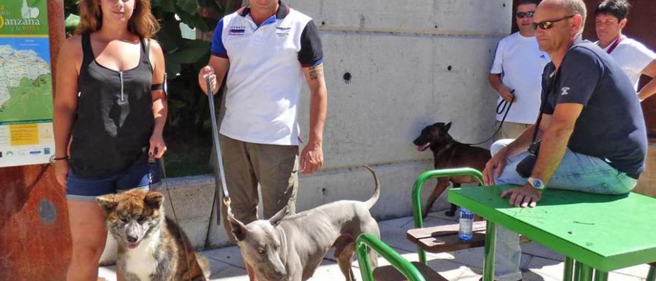 Perros raros en Nava