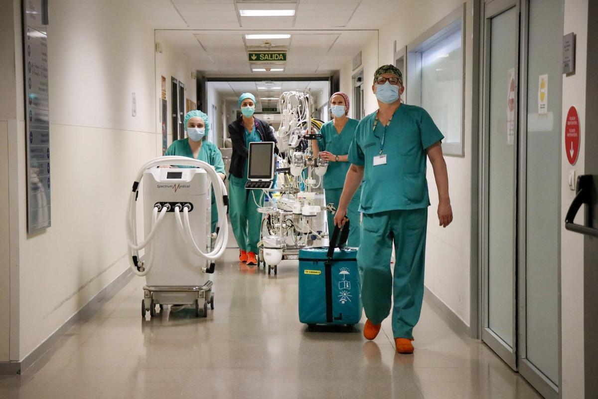 Ana Tur y parte del equipo de la unidad de trasplantes del hospital La Fe trasladando un corazón.