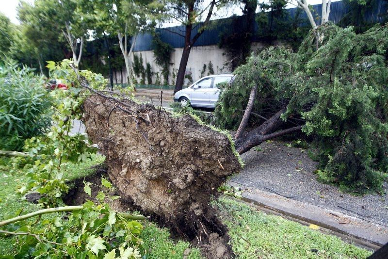 Fuerte tormenta en Zaragoza