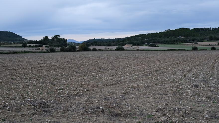 Apaema compra una finca en Montuïri para convertirla en &quot;epicentro de la agricultura ecológica&quot;