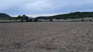 Apaema compra una finca en Montuïri para convertirla en "epicentro de la agricultura ecológica"