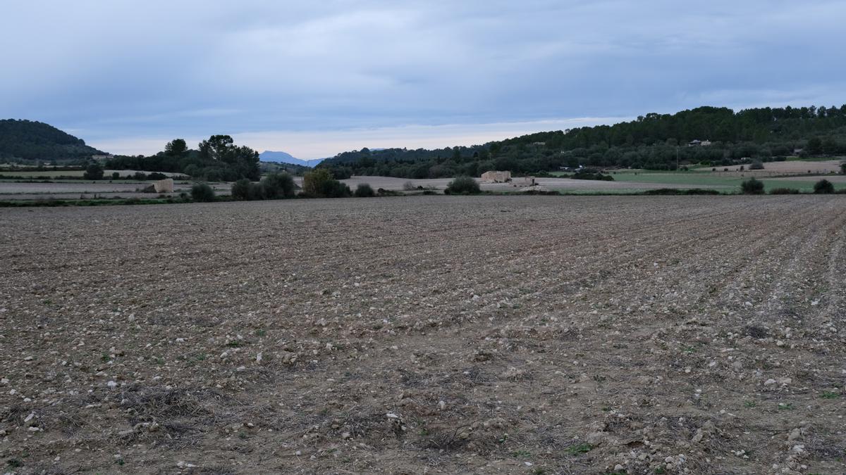 La finca adquirida por Apaema.