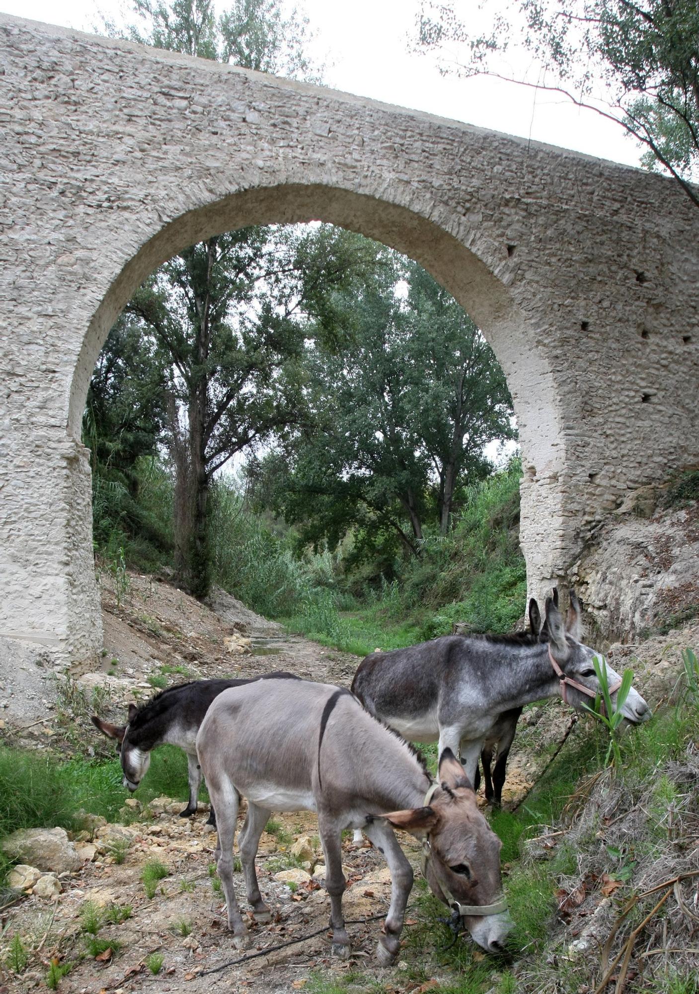 Un paseo por...  Carrícola