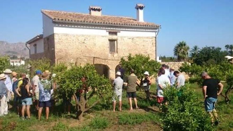 Dénia da a conocer una finca del siglo XIX de producción de pasa